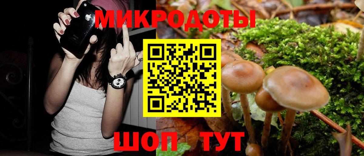 Галлюциногенные грибы Psilocybine cubensis  Вход с VPN  Тула  Псилоцибиновые грибы Psilocybe 