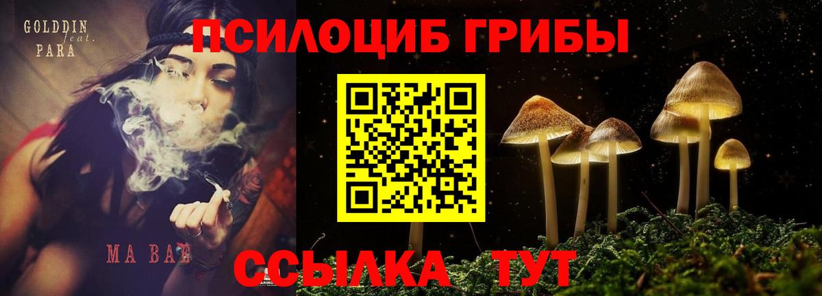 Псилоцибиновые грибы Magic Shrooms Тула